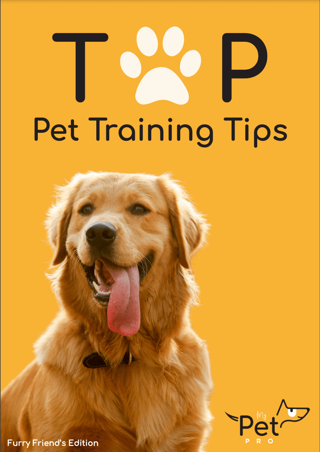 Top Pet Training Tips
